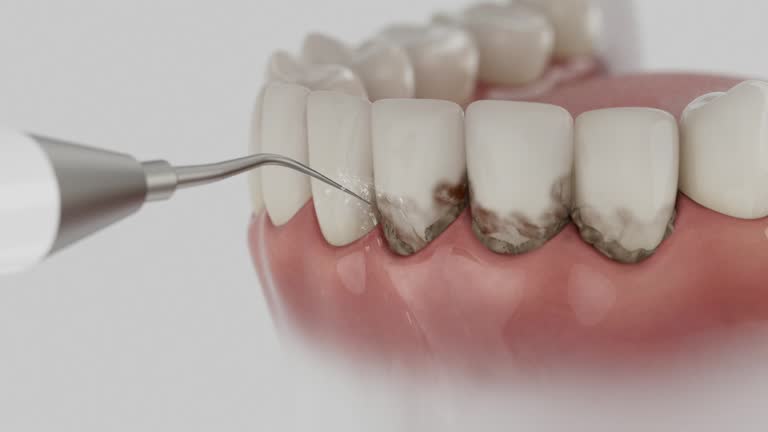 Reliable Dental contractor in Cedar Point, NC by Dentist Open Now